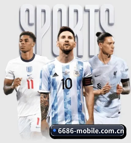 6686体育网 APP