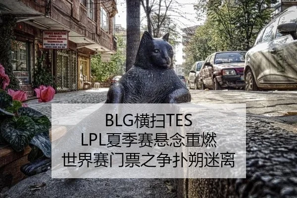 BLG横扫TES LPL夏季赛悬念重燃 世界赛门票之争扑朔迷离